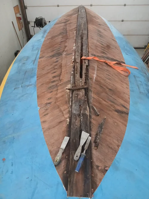 photo 2026 02 04 11 38 46